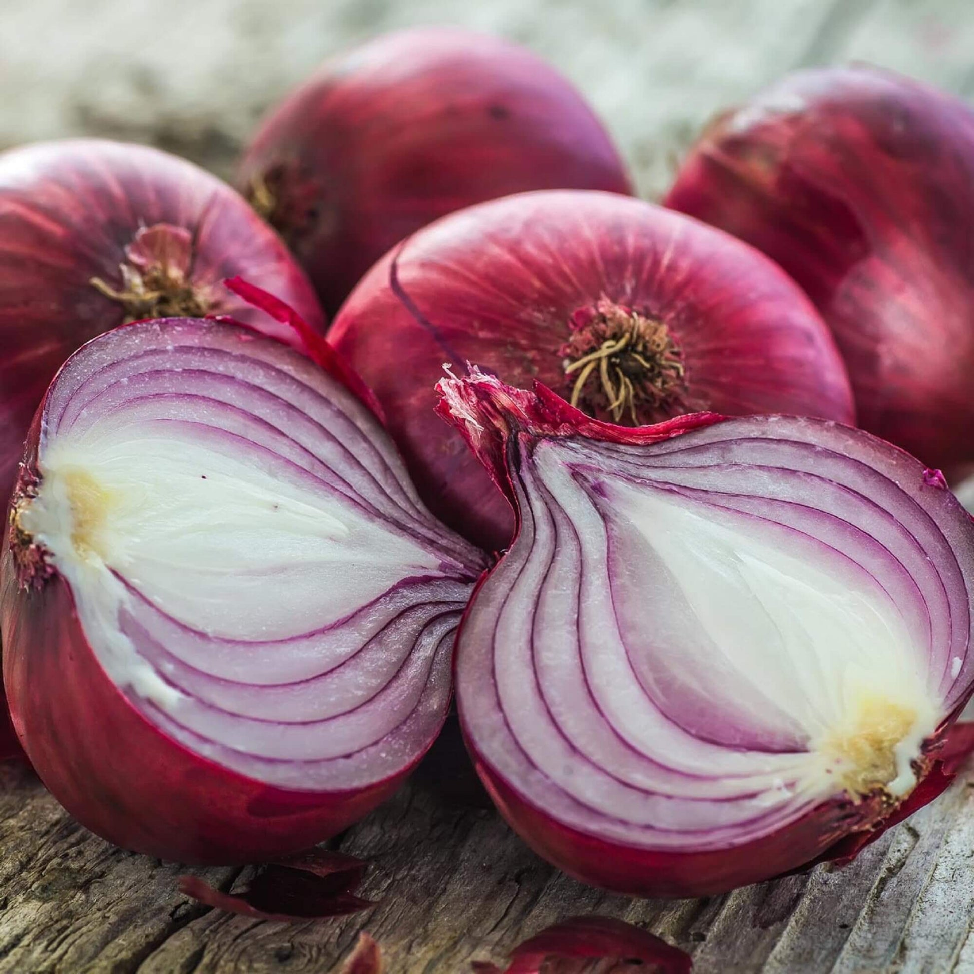 Red Candy Apple Onion Seeds