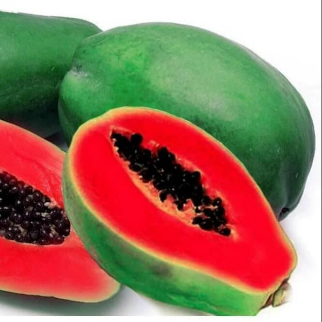 Red Caribbean Papaya Seeds