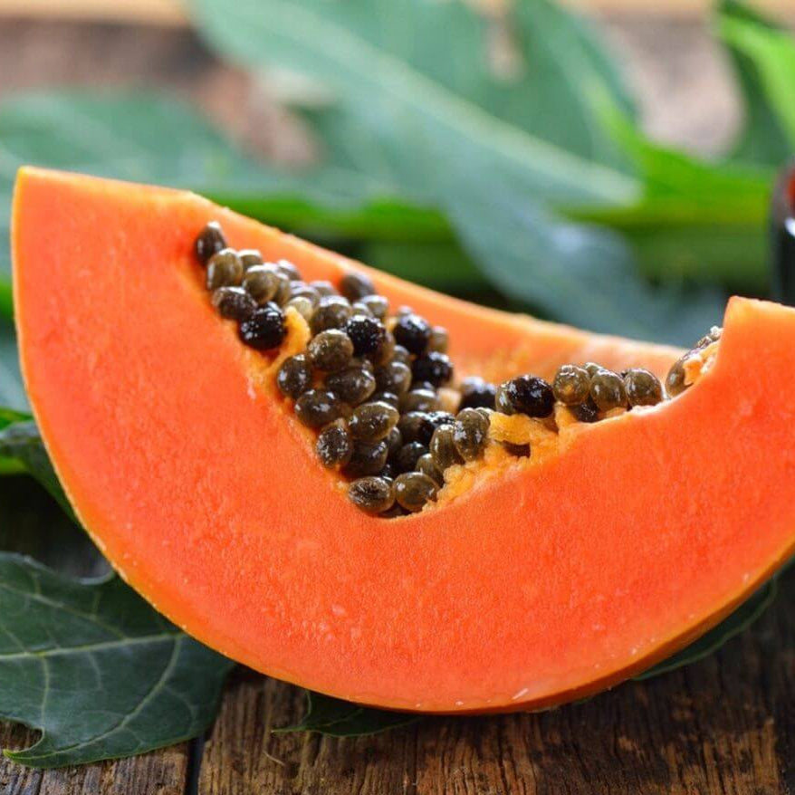 Red Caribbean Papaya Seeds