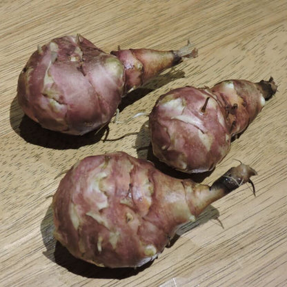 Red Fuseau Seeds