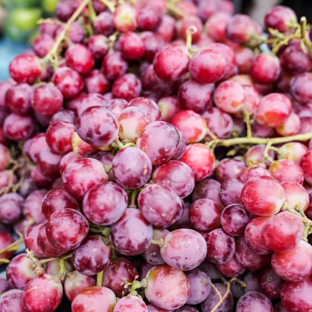 Red Grape Seeds