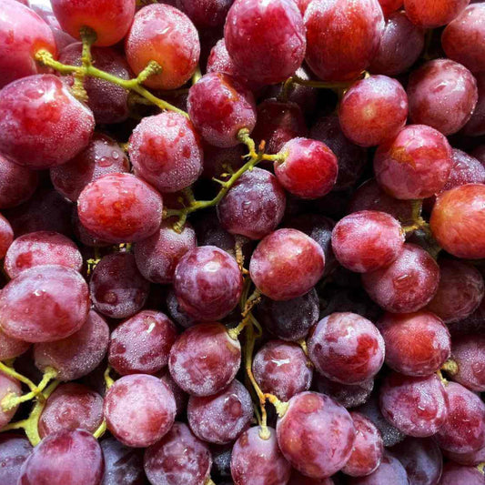 Red Grape Seeds