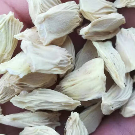 Red Grapefruit Seeds