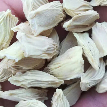 Red Grapefruit Seeds
