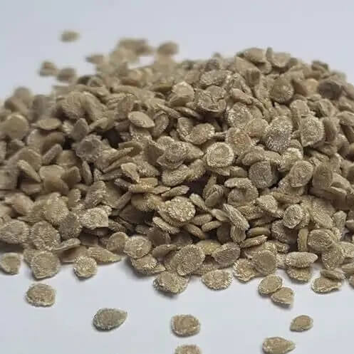 Red Grushovka Tomato Seeds 