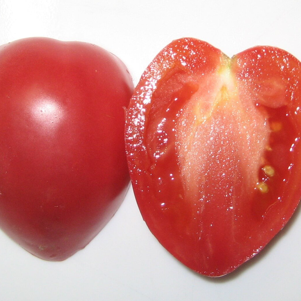 Red Grushovka Tomato Seeds 