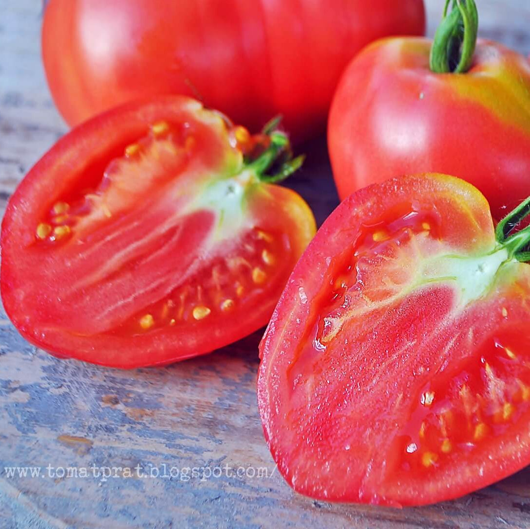 Red Grushovka Tomato Seeds 