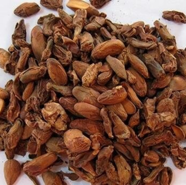 Red Jackfruit Seeds 