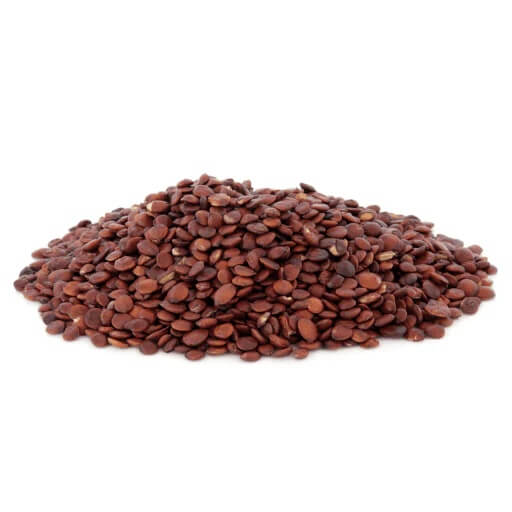 Red Jujube Seeds 