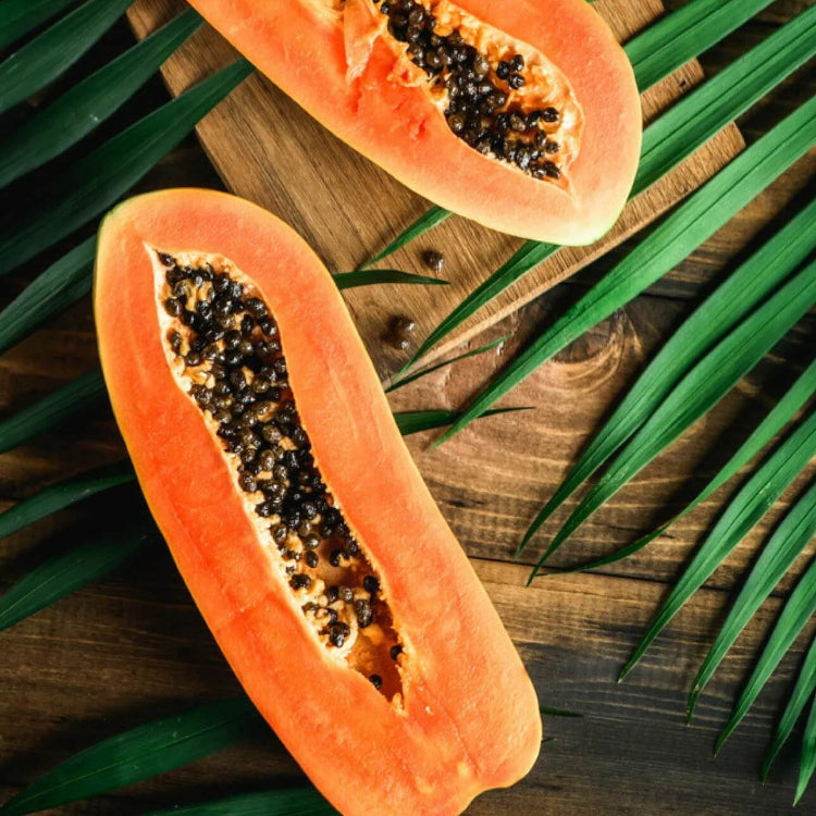 Red Lady Papaya Seeds - Fruit Plant
