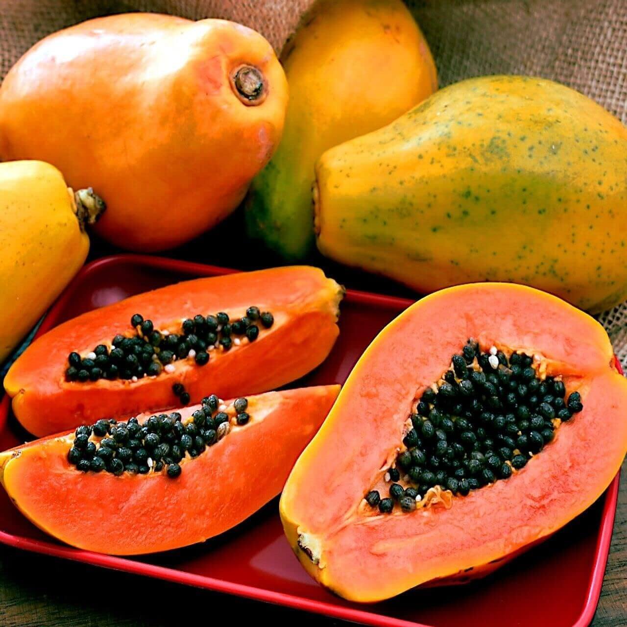 Red Lady Papaya Seeds