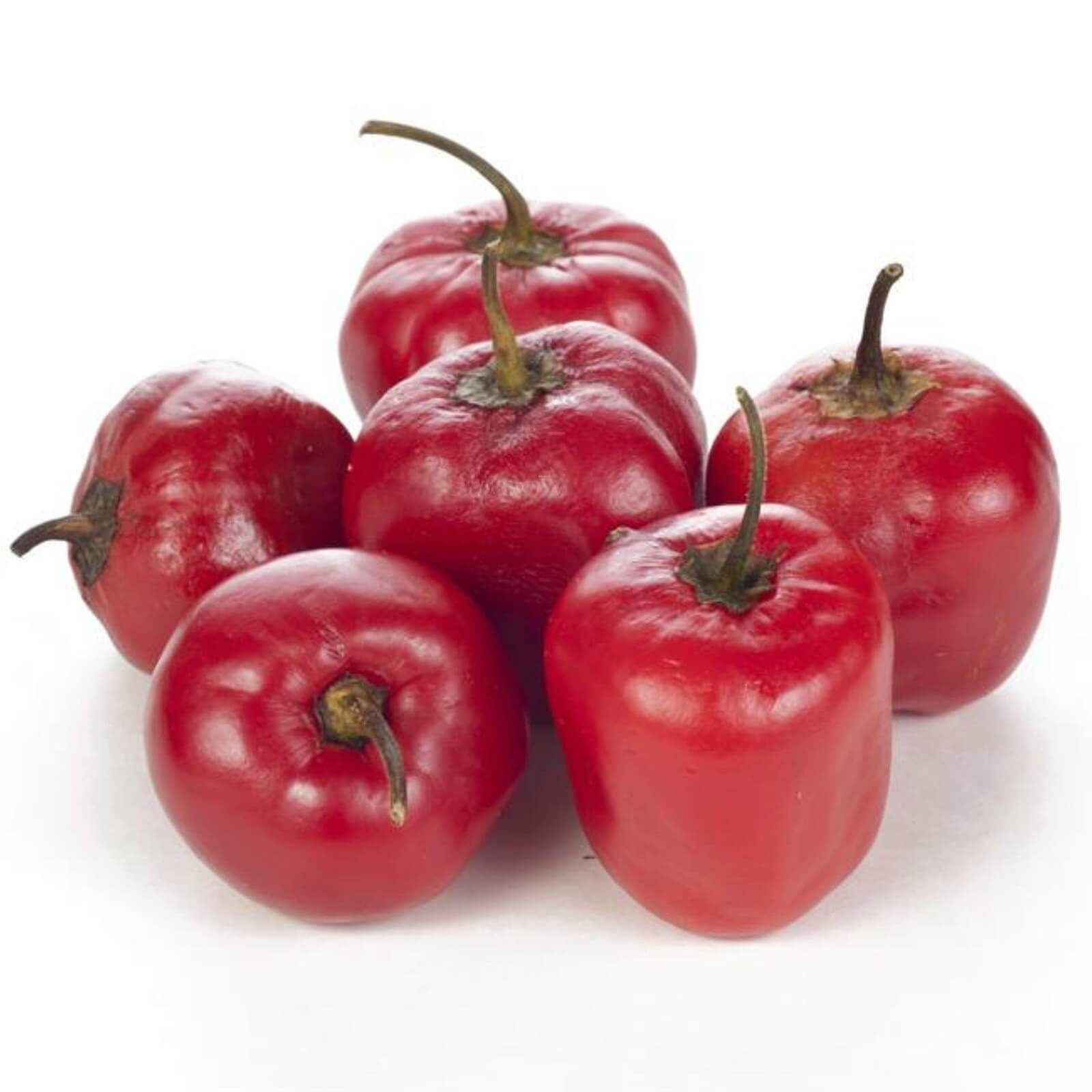 Red Manzano Rocoto Pepper Seeds 