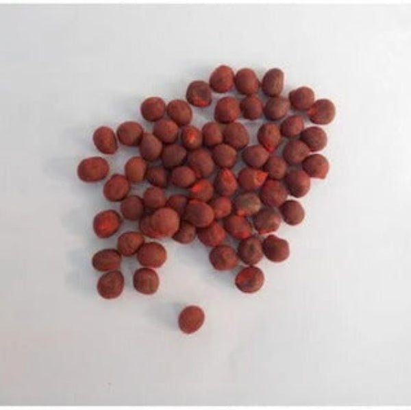 Red Okra Seeds
