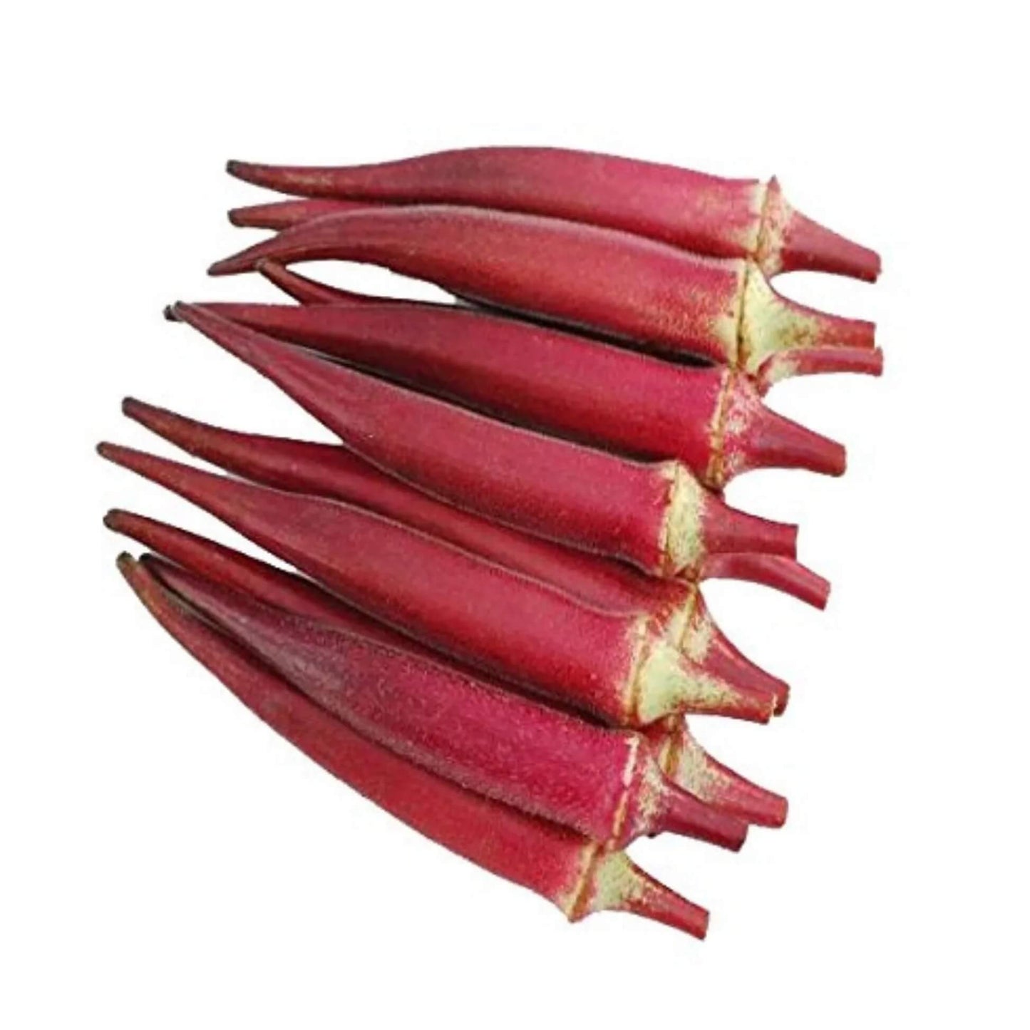 Red Okra Seeds