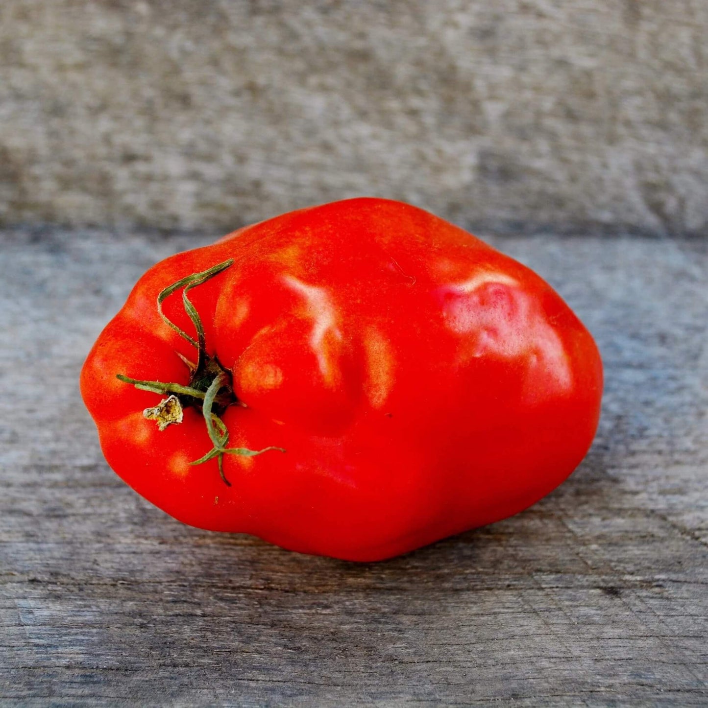 Red Opalka Tomato Seeds - Vegetable Plant
