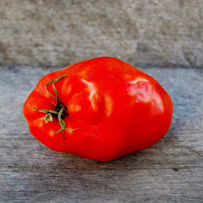 Red Opalka Tomato Seeds - Vegetable Plant