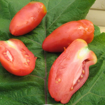 Red Opalka Tomato Seeds - Vegetable Plant