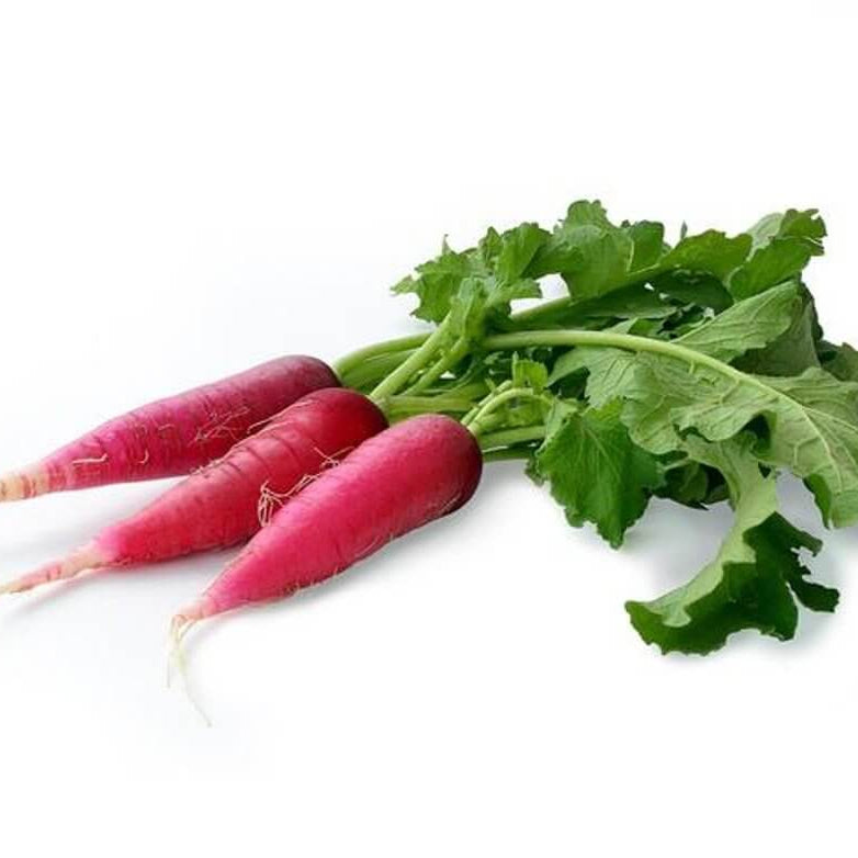 Red Radish Seeds 