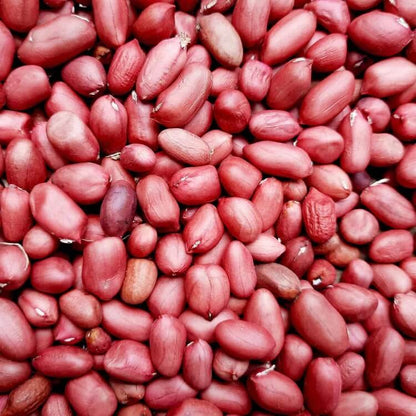 Red Skin Peanut Seeds