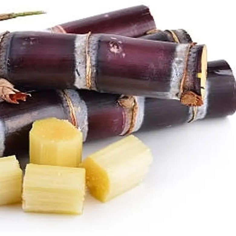 Red Sugarcane Seeds