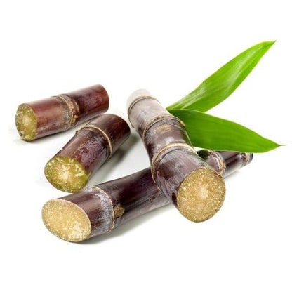 Red Sugarcane Seeds