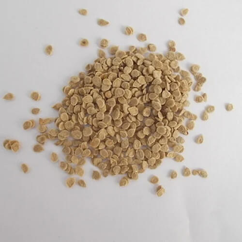 Red Tomato Seeds 