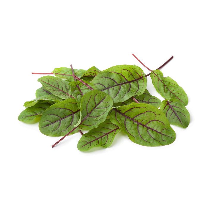 Red Veined Sorrel Seeds - Herbal Plant