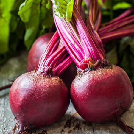 Red ace beet seeds - Vegetable Plant