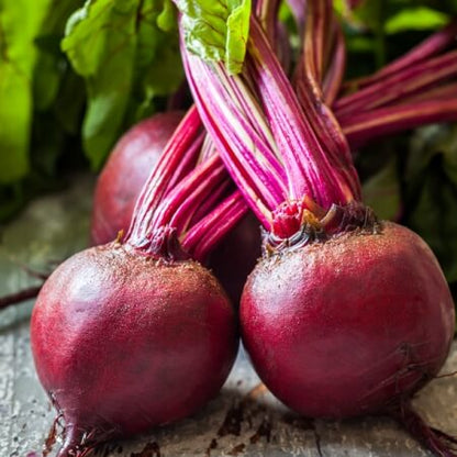 Red ace beet seeds - Vegetable Plant