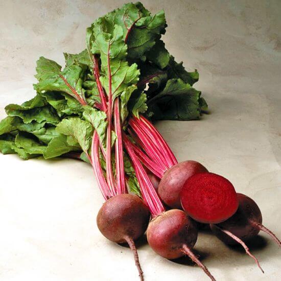 Red ace beet seeds - Vegetable Plant