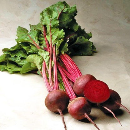 Red ace beet seeds - Vegetable Plant