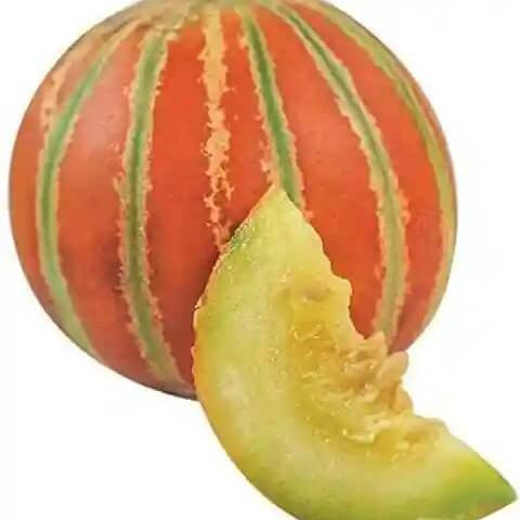 Red and Green Hami Melon Seeds