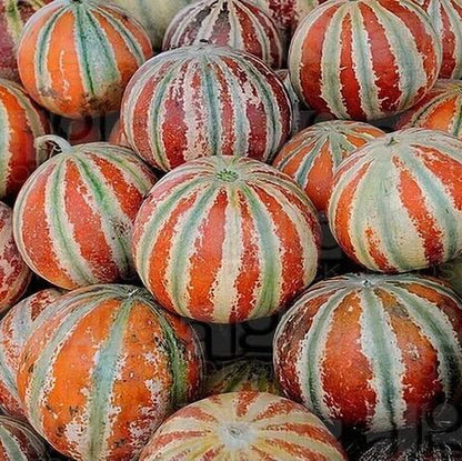 Red and Green Hami Melon Seeds