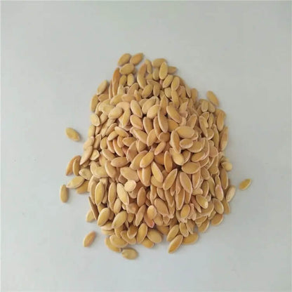 Red and Green Hami Melon Seeds