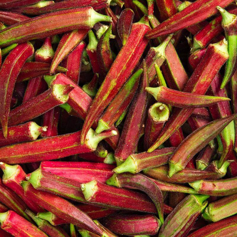 Red burgundy okra seeds - Vegetable Plant