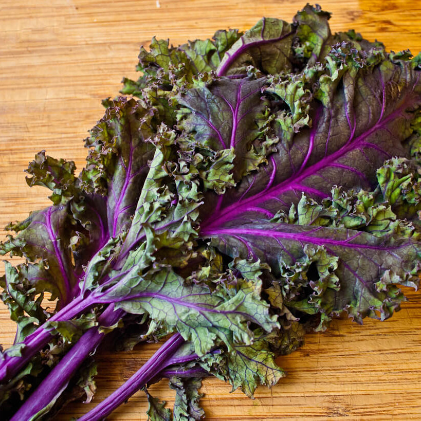 Red russian kale seeds - Vegetable Plant