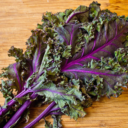 Red russian kale seeds - Vegetable Plant