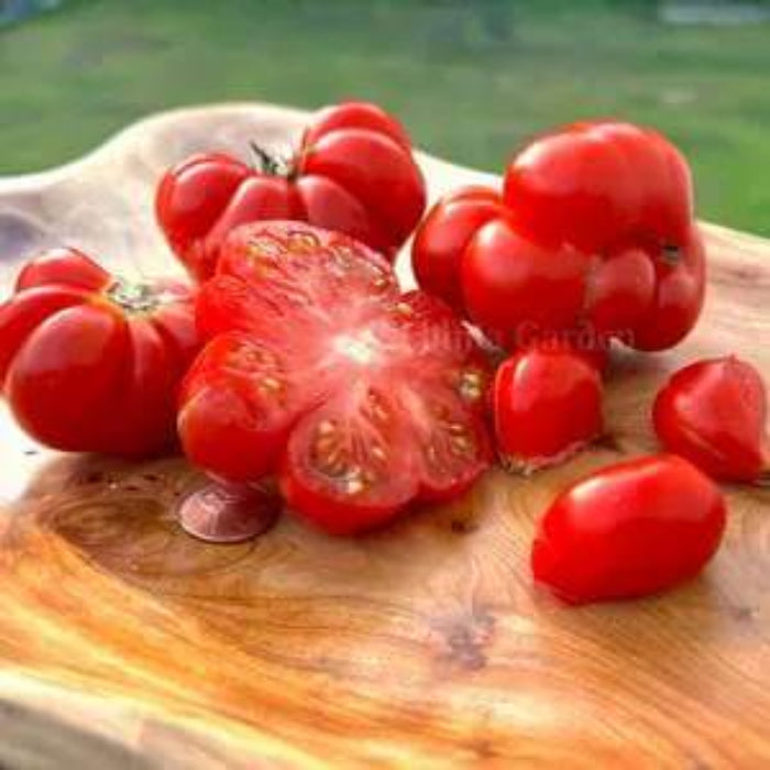 Reisetomate Tomato Seeds - Heirloom Vegetable Plant for Home Gardens