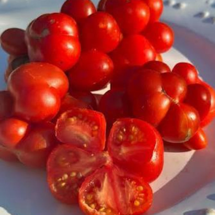 Reisetomate Tomato Seeds - Heirloom Vegetable Plant for Home Gardens