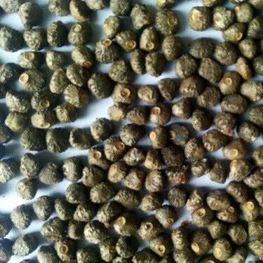 Rhino Horn Banana Seeds
