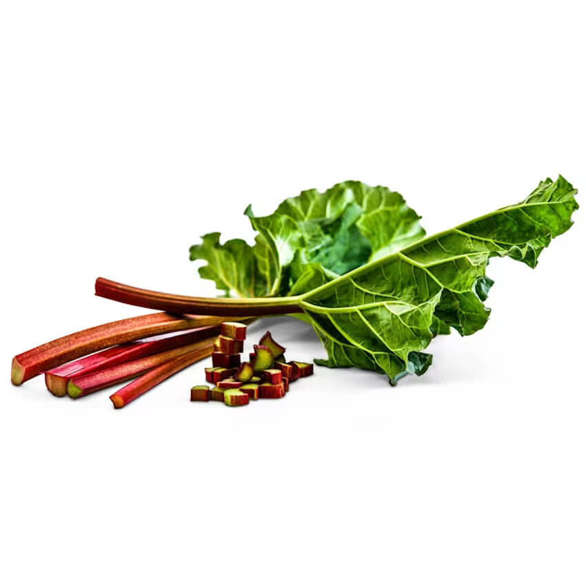 Rhubarb Seeds