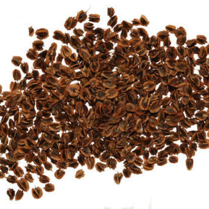 Rhubarb Seeds