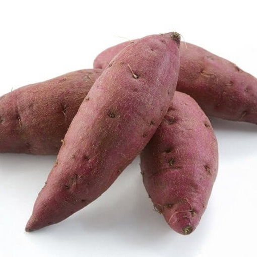 Rich Purple Flesh Sweet Potato Seeds 