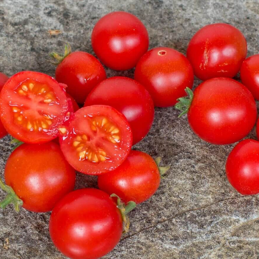 Robin Tomato Seeds