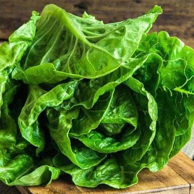 Romaine Lettuce Seeds