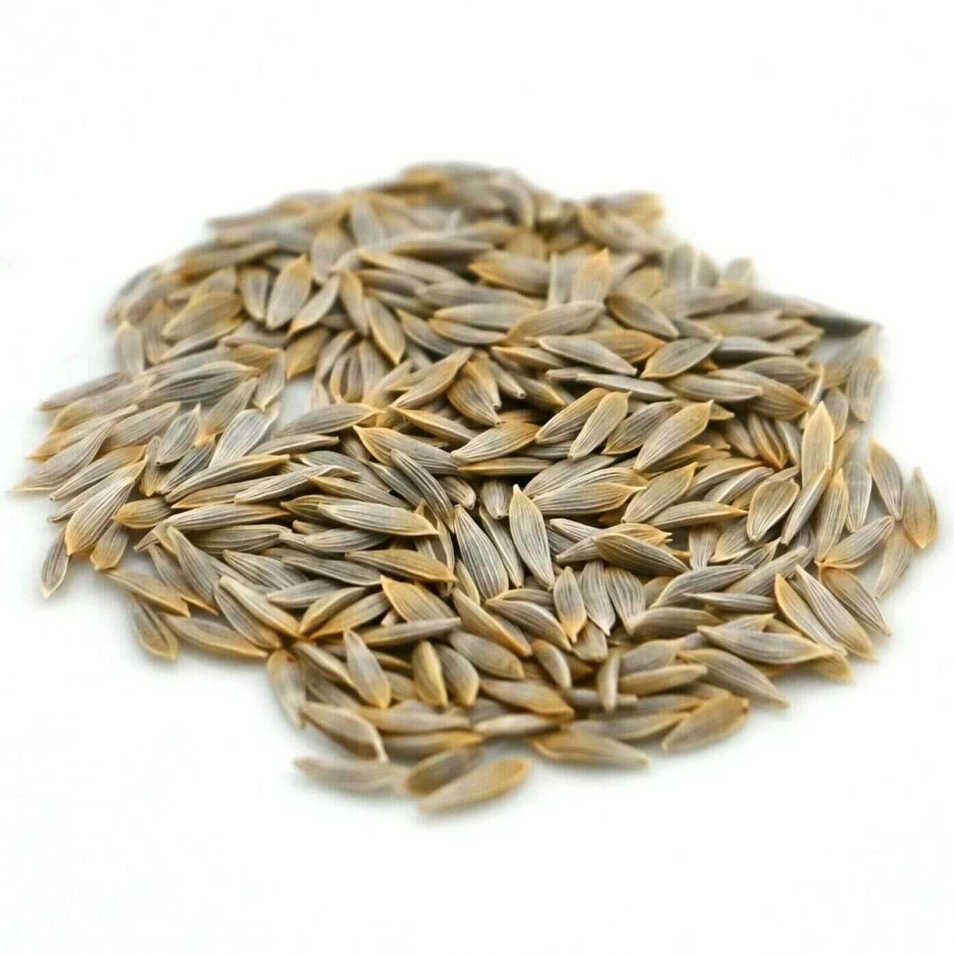 Romaine Lettuce Seeds
