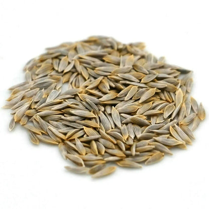 Romaine Lettuce Seeds