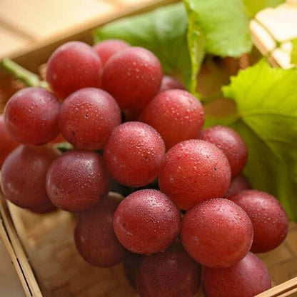 Roman Grapes Seeds