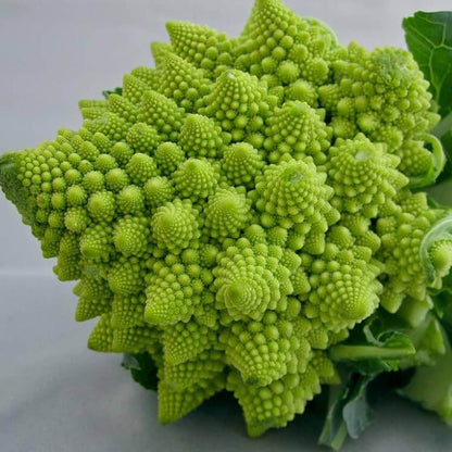 Romanesco Broccoli Seeds - Vegetable Plant