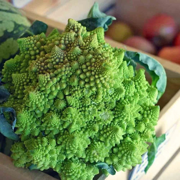 Romanesco Cauliflower Seeds